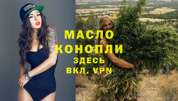 гидропоника Алзамай