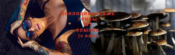 гидропоника Алзамай
