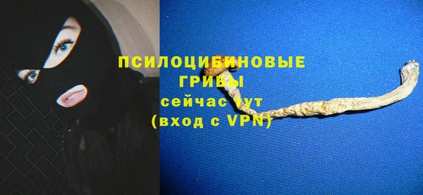 гидропоника Алзамай