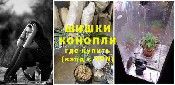 дурь Алексин