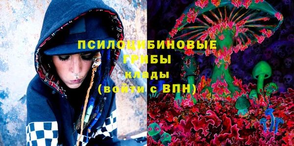 дурь Алексин