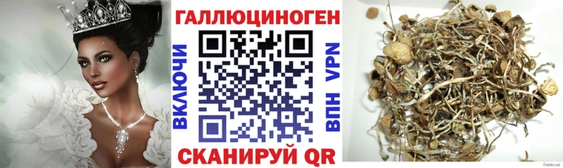 Псилоцибиновые грибы Magic Shrooms  МЕГА вход  Нурлат 